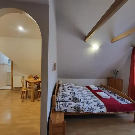 Daire Ambasada Wypoczynku Zakopane