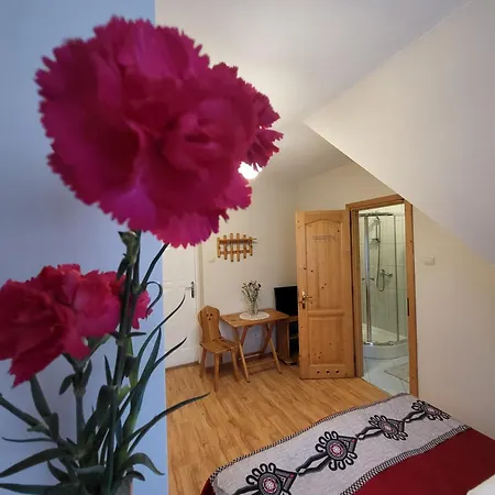 Ambasada Wypoczynku Apartamento