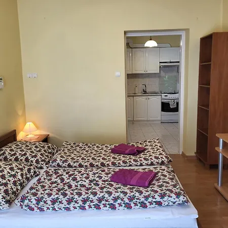 Ambasada Wypoczynku Apartment Zakopane