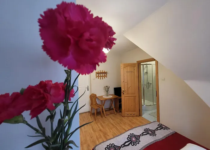 Ambasada Wypoczynku Apartamento